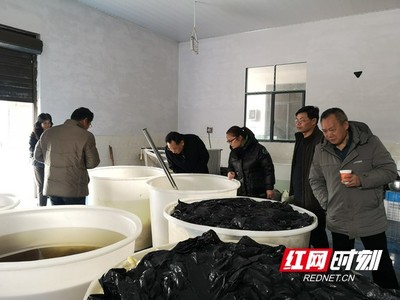 國(guó)家特色蔬菜產(chǎn)業(yè)技術(shù)體系專(zhuān)家赴鳳凰縣調(diào)研指導(dǎo)辣椒加工產(chǎn)業(yè)發(fā)展