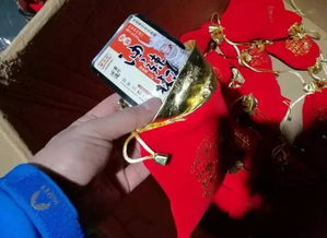 《多彩貴州風(fēng)》全國(guó)巡演 民族藝術(shù)的盛宴與舌尖上的山水