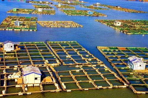 英國突然宣布關于中國的大消息 整個微信都在刷屏