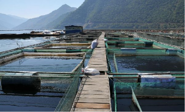 水產養殖學專業校外實踐教學基地——攀枝花二灘水庫