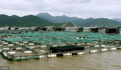 陰雨繼續,水產養殖怎么辦?建議做好4點措施