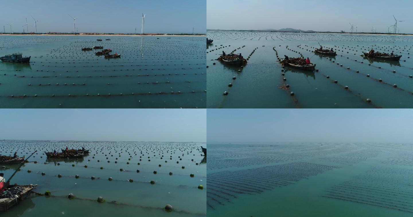 航拍海灘海洋綠色海岸水產養殖
