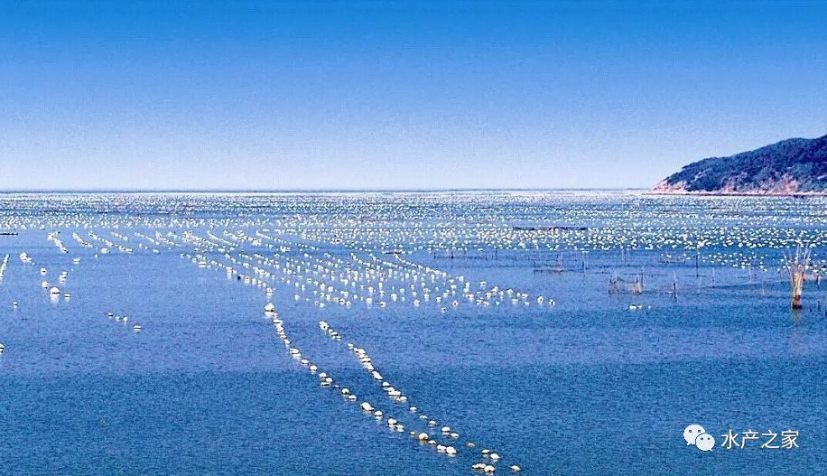 到 2030 年,我國或?qū)⒂?000萬t水產(chǎn)品的缺口需要通過發(fā)展水產(chǎn)養(yǎng)殖來彌補?