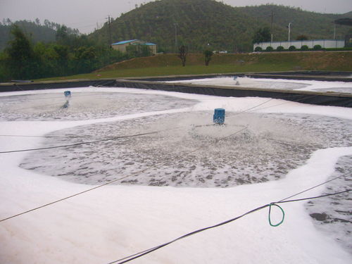 如何根據(jù)養(yǎng)殖的水產(chǎn)品選擇防滲產(chǎn)品,看完這篇文章了解清楚