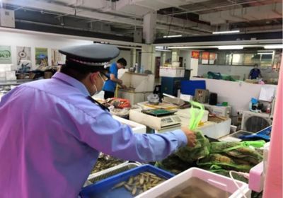 長江禁捕一盤棋“打非斷鏈”在持續(xù)