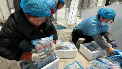 濱州60余家漁業(yè)企業(yè)開足馬力備戰(zhàn)春節(jié)水產(chǎn)品市場供應(yīng)