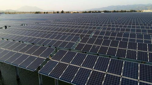 天馬科技集團(tuán)2022年半年度經(jīng)營分析與戰(zhàn)略部署會議隆重召開