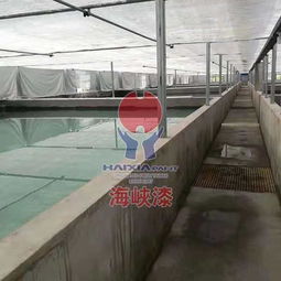 工廠化水產(chǎn)養(yǎng)殖為什么要刷海峽漆水產(chǎn)養(yǎng)殖漆