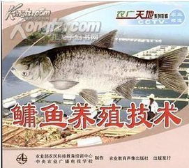 鳙魚養(yǎng)殖 水產(chǎn)品生產(chǎn)流程圖譜 鳙魚