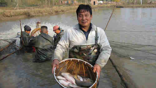 成都鯉魚養(yǎng)殖 濟(jì)南槐蔭廣源水產(chǎn)養(yǎng)殖專業(yè)合作社竭誠歡迎您-濟(jì)南槐蔭廣源水產(chǎn)養(yǎng)殖專業(yè)合作社