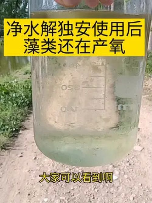 放心吧 魚蝦蟹養(yǎng)殖 水產(chǎn)養(yǎng)殖 螃蟹養(yǎng)殖 水產(chǎn)人 小龍蝦養(yǎng)殖 南美白對(duì)蝦養(yǎng)殖 水產(chǎn) 大閘蟹養(yǎng)殖 水產(chǎn)養(yǎng)殖技術(shù)