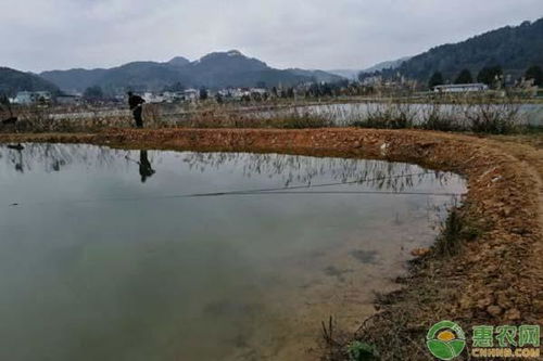 疫情影響之下,如何保障養(yǎng)殖水產(chǎn)品質(zhì)量安全