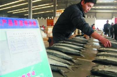 山東青島:水產(chǎn)品“溯源”一年 效果真不錯!_水產(chǎn)快訊(國內(nèi)水產(chǎn))_中國水產(chǎn)養(yǎng)殖網(wǎng)