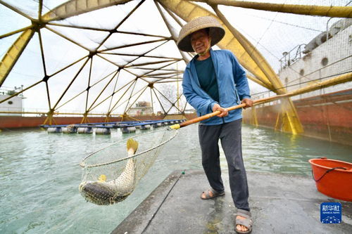 福建 耕海牧漁 走向深藍