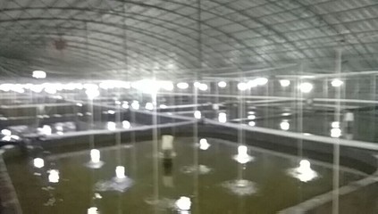 海水養殖,海藻加工,水產銷售 - 榮成市尋山宏源養殖場