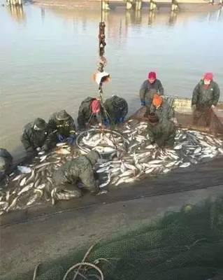 漁業管理進入“智能化” 養殖戶輕點鼠標就養魚