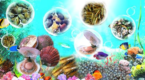 水產(chǎn)養(yǎng)殖溯源系統(tǒng) 讓消費(fèi)者放心