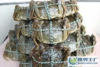 大湖蟹(雌、雄一級,淡水養殖)[供應]_鮮活水產品_世界工廠網中國產品信息庫