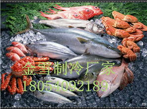 肥東肉類冷庫設(shè)備如何進(jìn)行有效管理