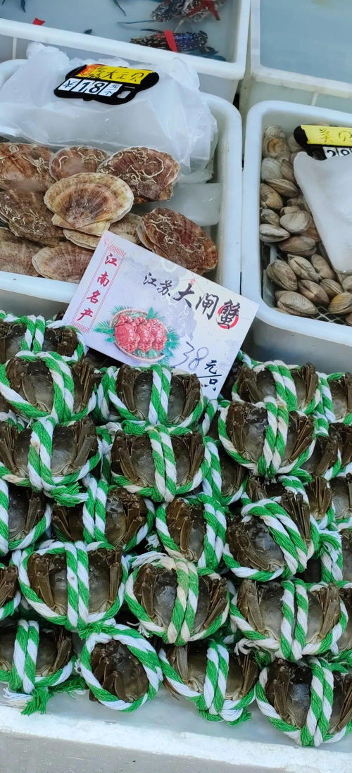 平靚正海鮮大量上市 廣州黃沙水產(chǎn)市場(chǎng)各類海鮮價(jià)格平穩(wěn)貨量充足