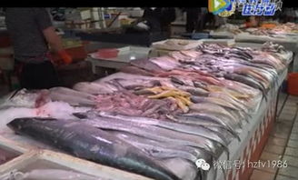 廣東惠州水產(chǎn)品及水產(chǎn)干制品合格率97.6