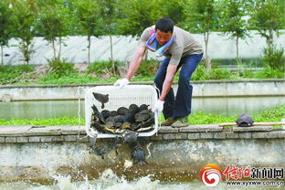 潢川甲魚 引擎農民脫貧