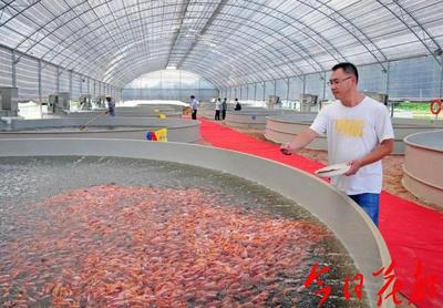 犀利!花都將創(chuàng)建國(guó)家級(jí)水產(chǎn)健康養(yǎng)殖和生態(tài)養(yǎng)殖示范區(qū)
