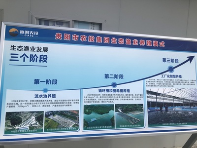 貴州現代漁業集團:數字賦能智慧生態漁業發展